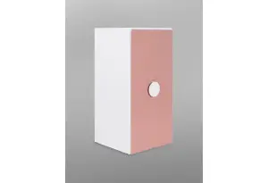 S02566 ПИКСИ шкаф распашной с 2 дверьми и полкой 60х57х123, мечтательный пион