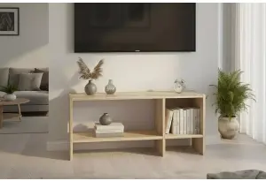 Тумба под телевизор 90х30х40 см напольная Теви