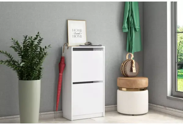 Обувница с 2-мя откидными фасадами Реан - главное фото